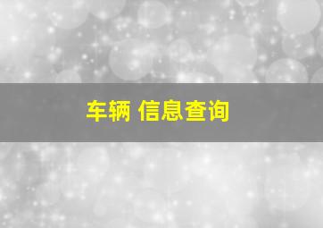 车辆 信息查询